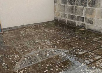 WhatsApp Image 2026-03-17 at 12.22.15(1).jpeg - Villa Via le Site 11, Cursi - foto 6