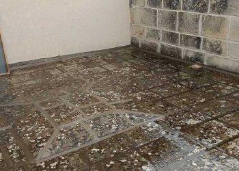 WhatsApp Image 2026-03-17 at 12.22.15.jpeg - Villa Via le Site 11, Cursi - foto 8