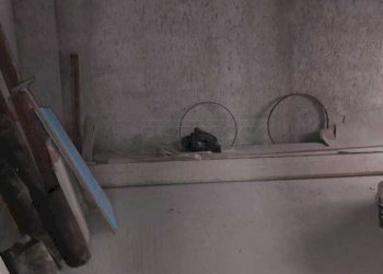 WhatsApp Image 2026-03-17 at 12.22.16(5).jpeg - Villa Via le Site 11, Cursi - foto 13