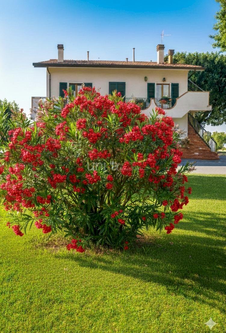 1000143109.jpg - Casa indipendente Via Ponte Pio snc, Jesi - foto 3