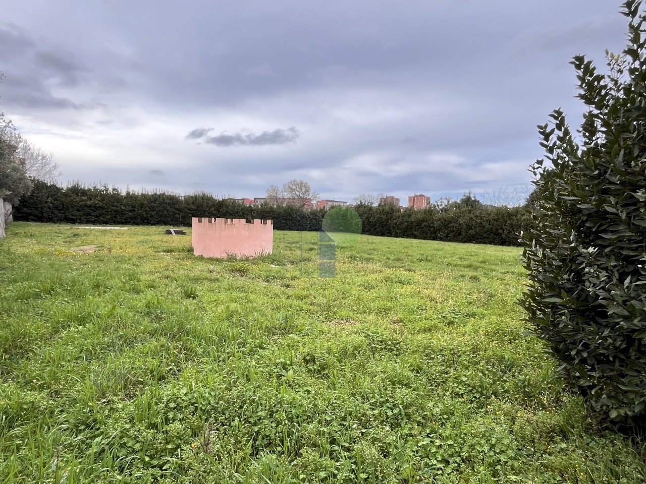 Ingresso al terreno - Agricultural land Via della Padula 12, Livorno - photo 2