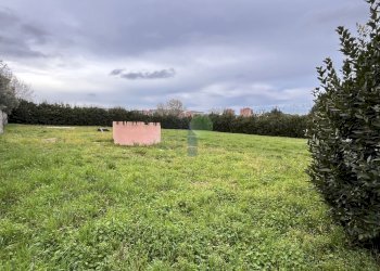 Ingresso al terreno - Agricultural land Via della Padula 12, Livorno - photo 2