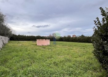 Terreno - Agricultural land Via della Padula 12, Livorno - photo 3