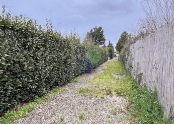 Ingresso al terreno - Agricultural land Via della Padula 12, Livorno - photo 4