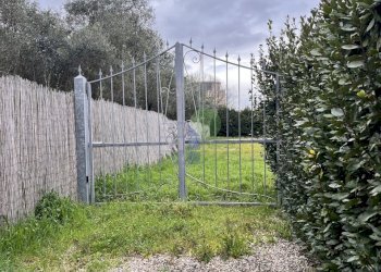 Cancello di ingresso al terreno - Agricultural land Via della Padula 12, Livorno - photo 5
