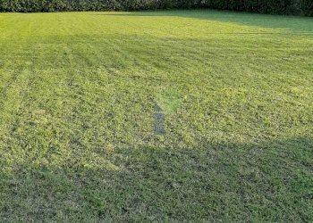 terreno - Agricultural land Via della Padula 12, Livorno - photo 9