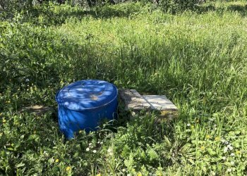 20260226_111850.jpg - Terreno agricolo contrada Santa Lucia di Mendola, Noto - foto 7