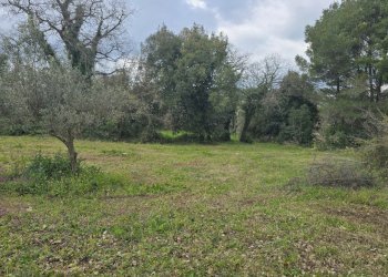 20260312_115557.jpg - Terreno agricolo contrada Santa Lucia di Mendola, Noto - foto 17