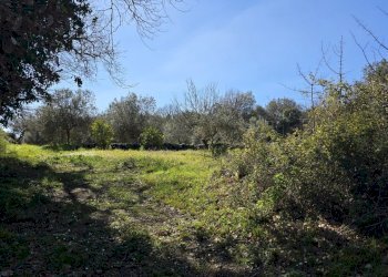 20260226_110913.jpg - Terreno agricolo contrada Santa Lucia di Mendola, Noto - foto 26