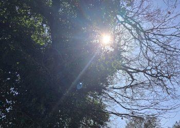 20260226_110937.jpg - Terreno agricolo contrada Santa Lucia di Mendola, Noto - foto 29