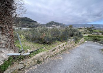 IMG_8027.JPG - Agricultural land Taggia - photo 1