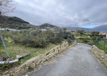 IMG_8028.JPG - Agricultural land Taggia - photo 2