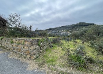 IMG_8030.JPG - Agricultural land Taggia - photo 4