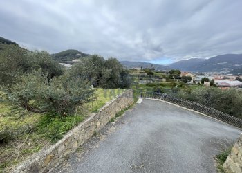 IMG_8031.JPG - Agricultural land Taggia - photo 5