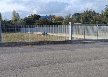 WhatsApp Image 2025-10-29 at 15.23.13 (2).jpeg - Terreno edificabile Vocabolo Pantanaccio, Attigliano - foto 2