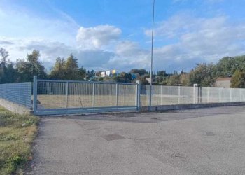 WhatsApp Image 2025-10-29 at 15.23.13.jpeg - Terreno edificabile Vocabolo Pantanaccio, Attigliano - foto 3