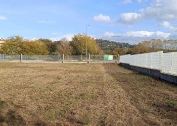 WhatsApp Image 2025-10-29 at 15.23.30 (3).jpeg - Terreno edificabile Vocabolo Pantanaccio, Attigliano - foto 6