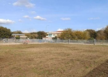 WhatsApp Image 2025-10-29 at 15.23.31 (2).jpeg - Terreno edificabile Vocabolo Pantanaccio, Attigliano - foto 9