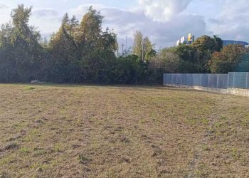 WhatsApp Image 2025-10-29 at 15.23.32 (1).jpeg - Terreno edificabile Vocabolo Pantanaccio, Attigliano - foto 12