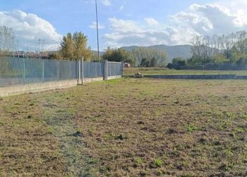 WhatsApp Image 2025-10-29 at 15.23.32 (3).jpeg - Terreno edificabile Vocabolo Pantanaccio, Attigliano - foto 14