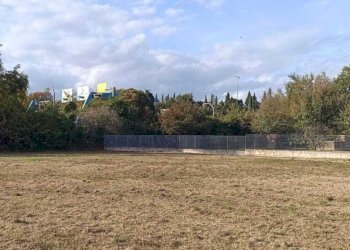 WhatsApp Image 2025-10-29 at 15.23.32.jpeg - Terreno edificabile Vocabolo Pantanaccio, Attigliano - foto 15