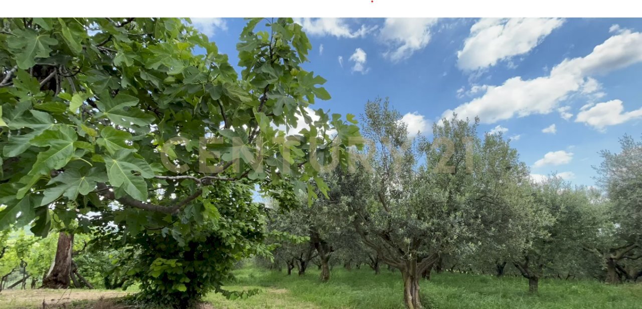 Foto 1.png - Rustico Via Postuman, Mezzane di Sotto - foto 1