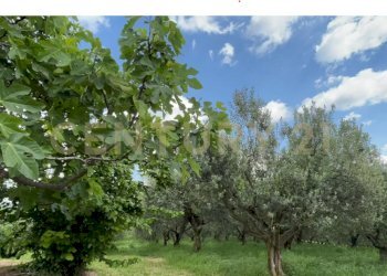 Foto 1.png - Rustico Via Postuman, Mezzane di Sotto - foto 1