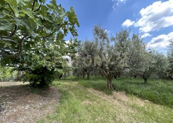 IMG_9164.jpg - Rustico Via Postuman, Mezzane di Sotto - foto 2