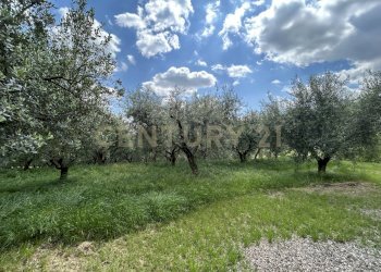 IMG_9165.jpg - Rustico Via Postuman, Mezzane di Sotto - foto 3