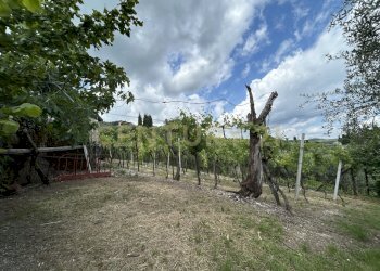 IMG_9167.jpg - Rustico Via Postuman, Mezzane di Sotto - foto 5