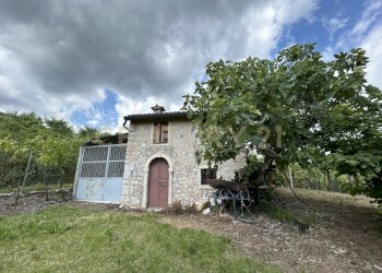 IMG_9168.jpg - Rustico Via Postuman, Mezzane di Sotto - foto 6