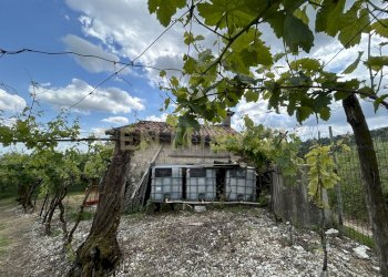 IMG_9181.jpg - Rustico Via Postuman, Mezzane di Sotto - foto 16