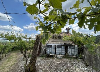 IMG_9182.jpg - Rustico Via Postuman, Mezzane di Sotto - foto 17