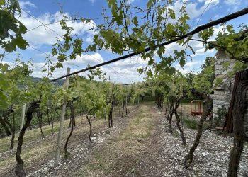 IMG_9183.jpg - Rustico Via Postuman, Mezzane di Sotto - foto 18