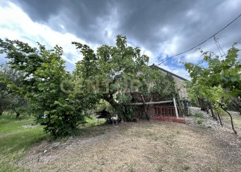 IMG_9186.jpg - Rustico Via Postuman, Mezzane di Sotto - foto 20