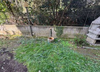 Appartamento Genova (zona Pegli) - foto 15