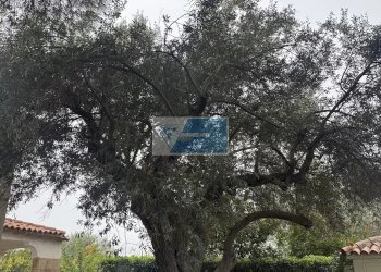 Villa Rametta noto, Noto - foto 8