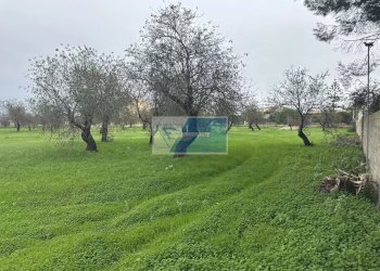 Villa Rametta noto, Noto - foto 26