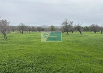 Villa Rametta noto, Noto - foto 27