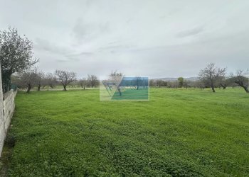 Villa Rametta noto, Noto - foto 28