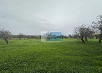 Villa Rametta noto, Noto - foto 29