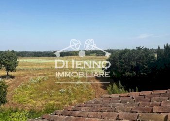 Appartamento Roma - foto 7