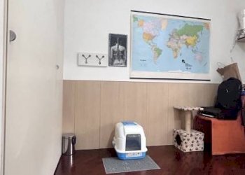 Three-room apartment Monza - photo 36