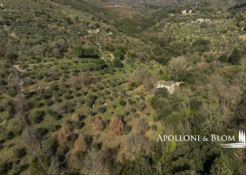 Rustico Strada dei Cappuccini, 18, Cortona - foto 45