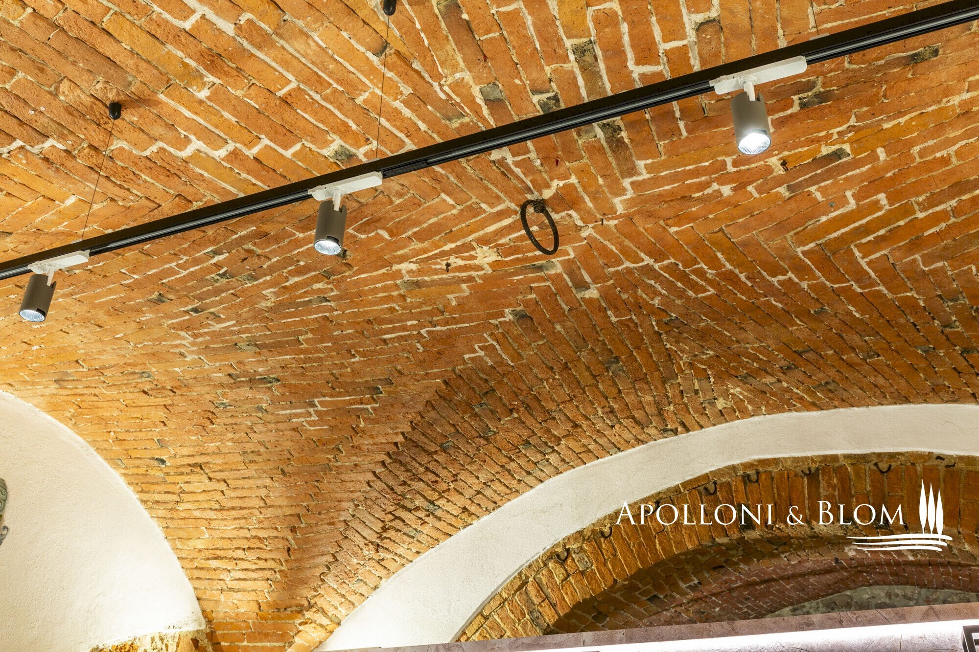 Villa Unifamiliare Achille Grandi, 2, Asciano - foto 3