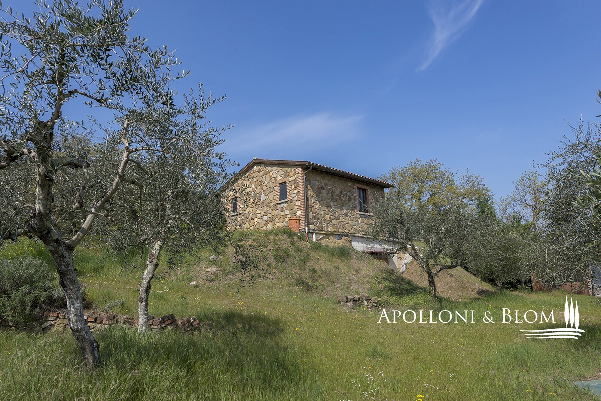 Rustic Olmo, 6, Sinalunga - photo 1