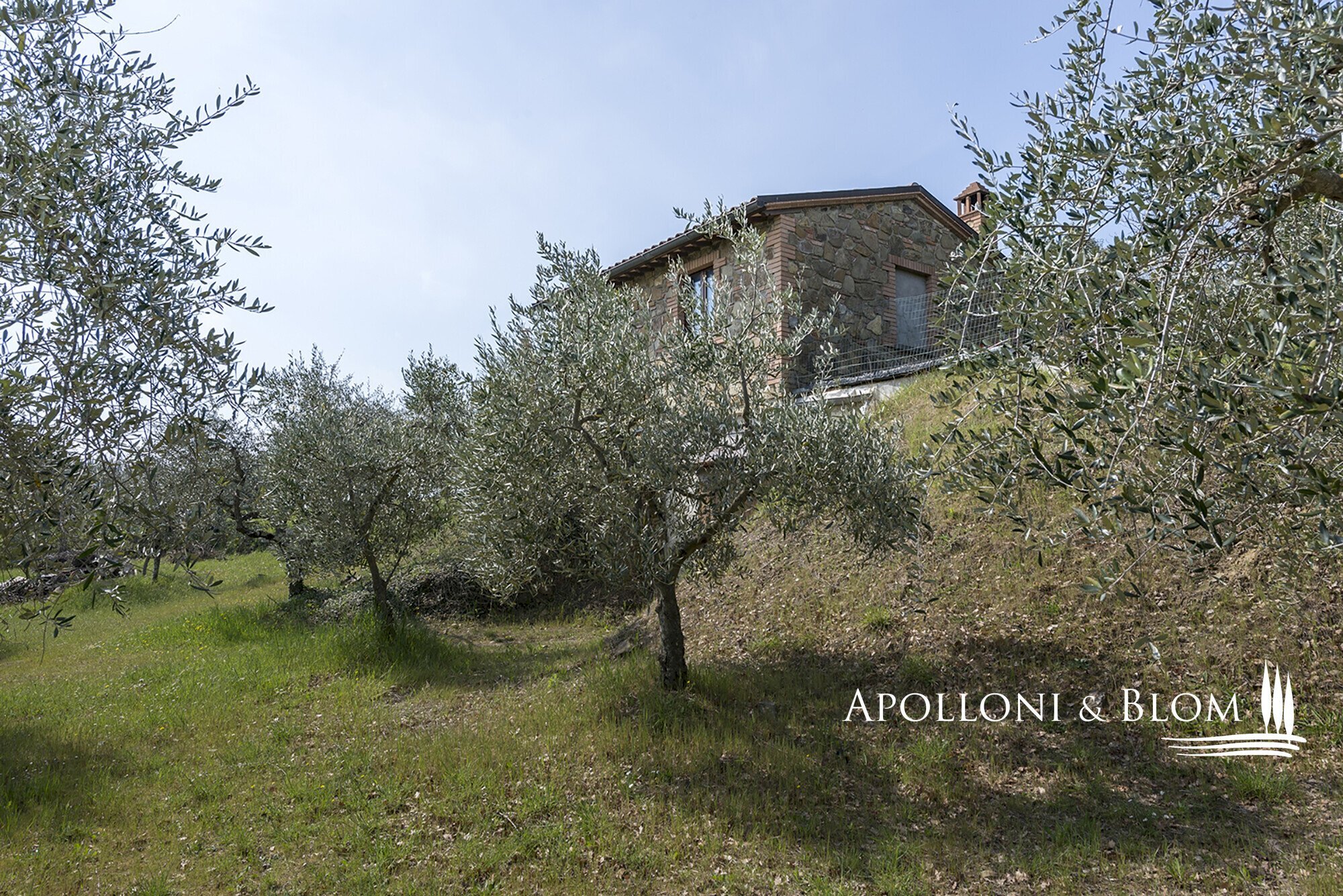 Rustic Olmo, 6, Sinalunga - photo 2