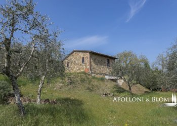 Rustic Olmo, 6, Sinalunga - photo 1