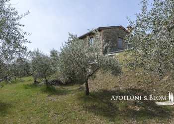 Rustic Olmo, 6, Sinalunga - photo 2