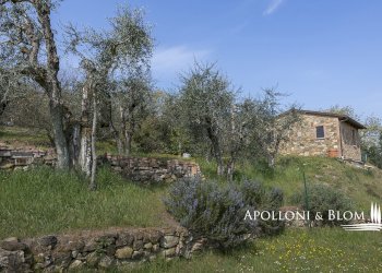 Rustic Olmo, 6, Sinalunga - photo 8